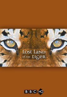 BBC: В поисках последнего тигра 2010