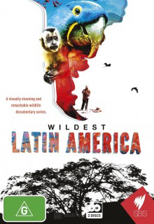 В дебрях Латинской Америки 2012