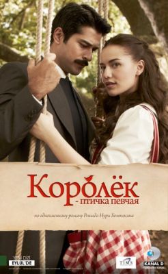 Королёк – птичка певчая 2013