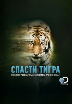 Спасти тигра 2019