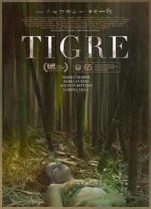Тигр 2017