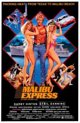 Малибу-экспресс 1985