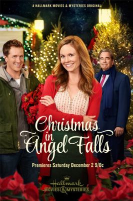Christmas in Angel Falls 2017