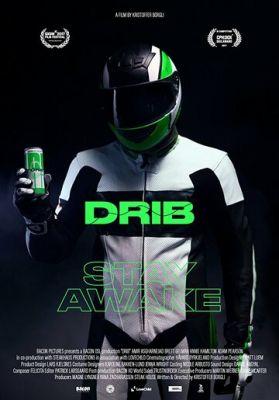 DRIB 2017