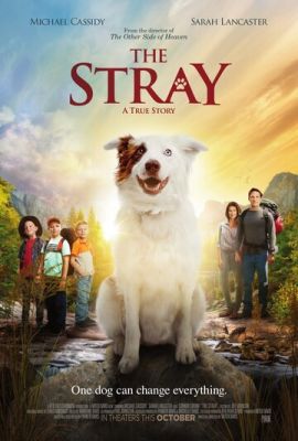 The Stray 2017