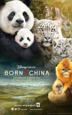 Рождённые в Китае 2016