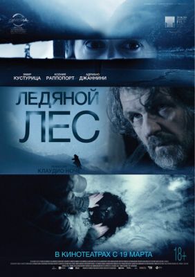 Ледяной лес 2014