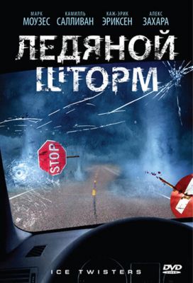 Ледяной шторм 2009