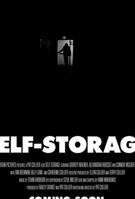 Self-Storage 2019
