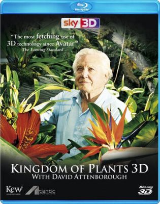 В королевстве растений 2012